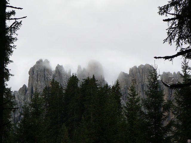P1060475.jpg