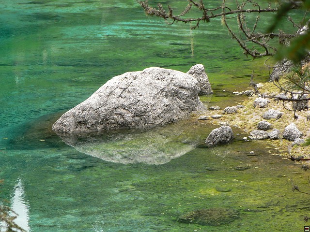 P1060479.jpg