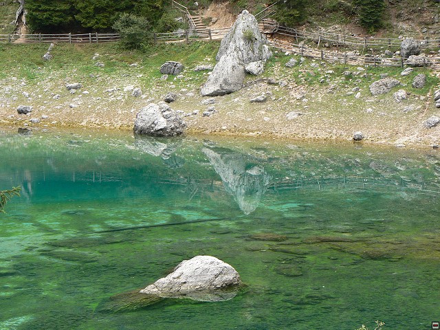 P1060483.jpg