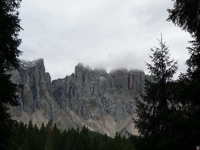 P1060485.jpg