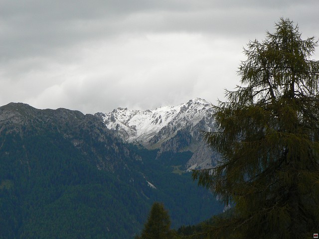 P1060493.jpg