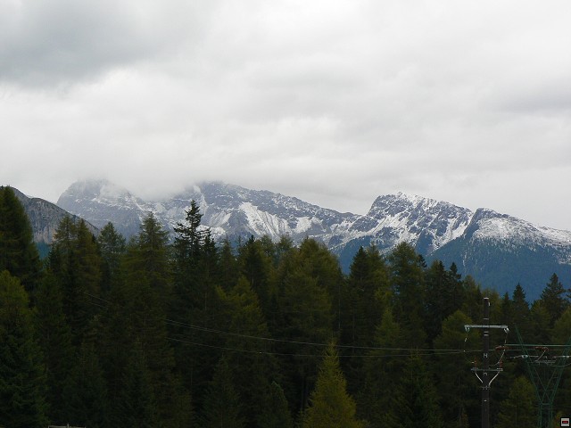 P1060494.jpg