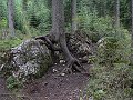 thn_P1060476.jpg