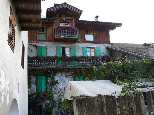 P1060505.jpg