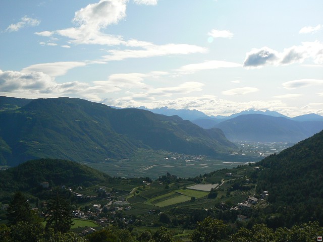 P1060527.jpg