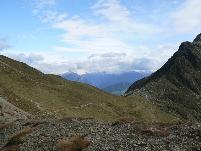 P1060536.jpg