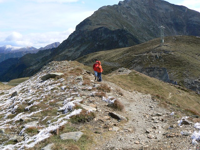 P1060559.jpg