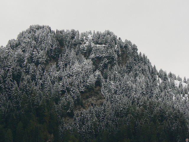 P1060610.jpg