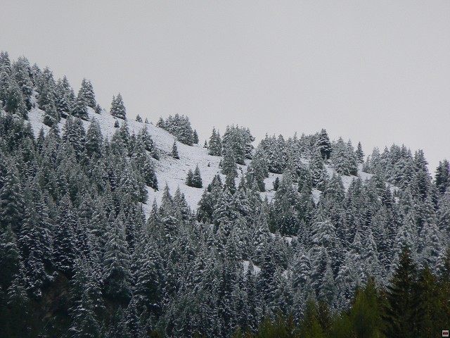 P1060611.jpg