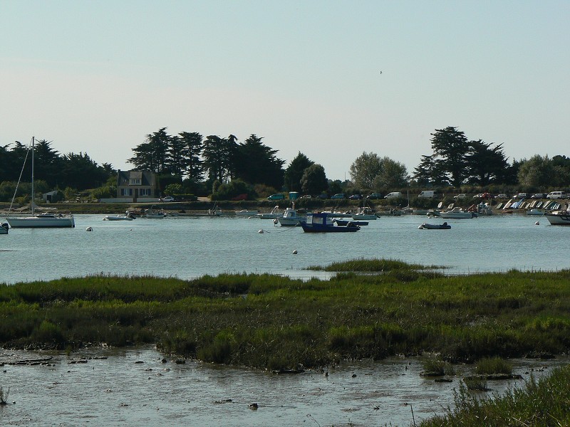 Francie_2009-08-09_02.jpg
