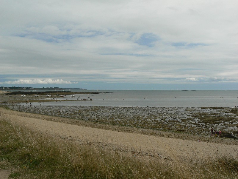 Francie_2009-08-10_33.jpg