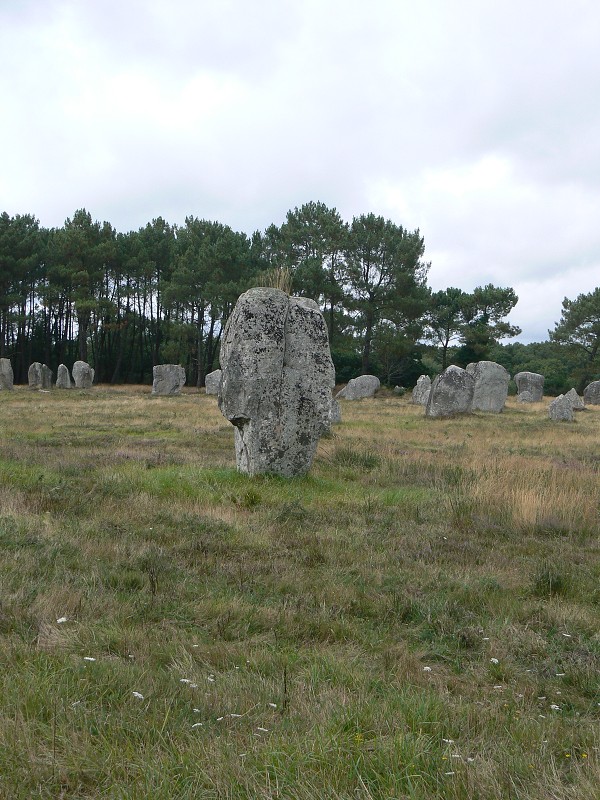 Francie_2009-08-10_46.jpg