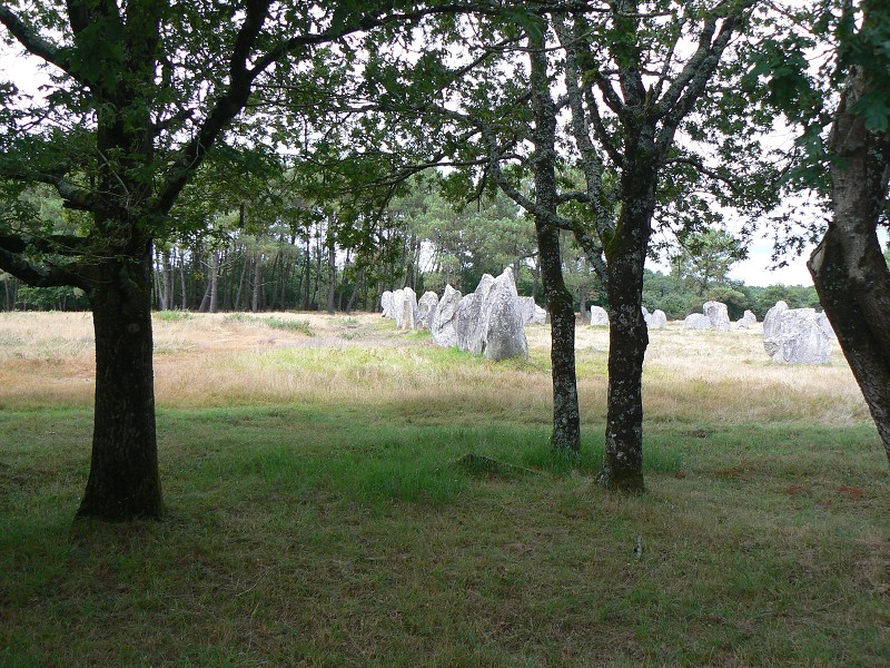 Francie_2009-08-10_47.jpg