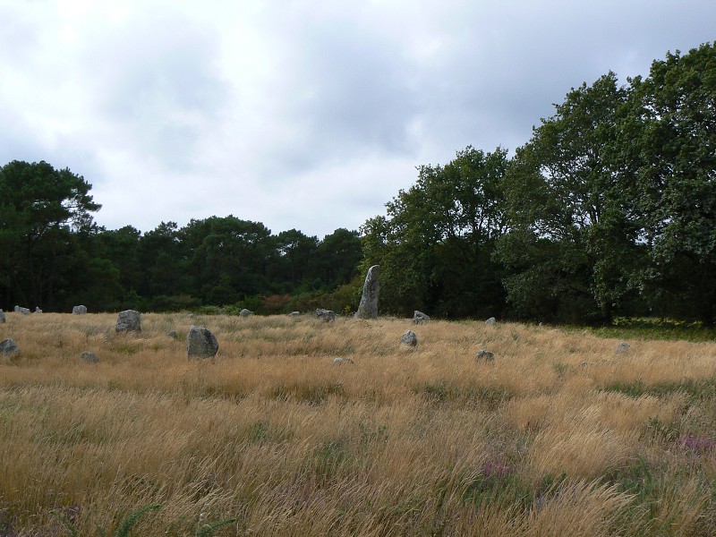 Francie_2009-08-10_53.jpg