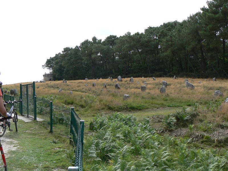Francie_2009-08-10_55.jpg