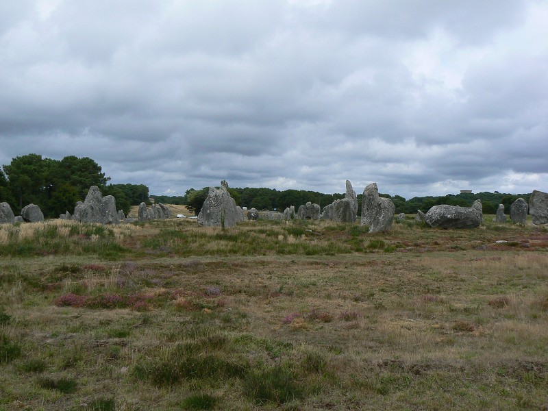 Francie_2009-08-10_65.jpg
