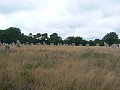 thn_Francie_2009-08-10_45.jpg