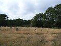 thn_Francie_2009-08-10_53.jpg