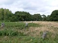 thn_Francie_2009-08-10_54.jpg