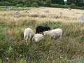 thn_Francie_2009-08-10_67.jpg