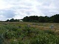 thn_Francie_2009-08-10_68.jpg