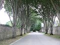thn_Francie_2009-08-10_73.jpg