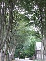 thn_Francie_2009-08-10_76.jpg