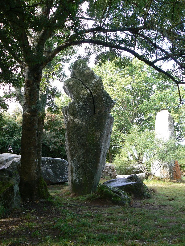 Francie_2009-08-11_22.jpg