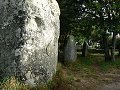 thn_Francie_2009-08-11_20.jpg
