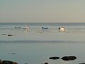 thn_Francie_2009-08-11_82.jpg
