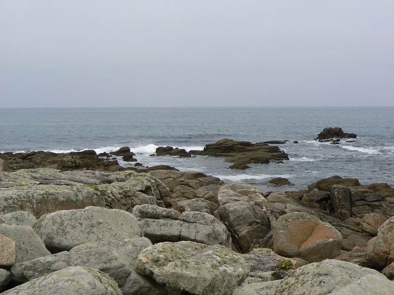Francie_2009-08-12_14.jpg