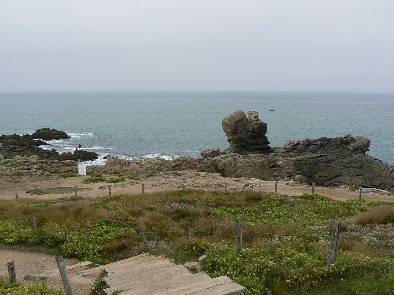 Francie_2009-08-12_17.jpg