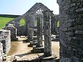 thn_Francie_2009-08-12_28.jpg