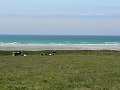 thn_Francie_2009-08-12_35.jpg