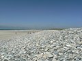 thn_Francie_2009-08-12_38.jpg