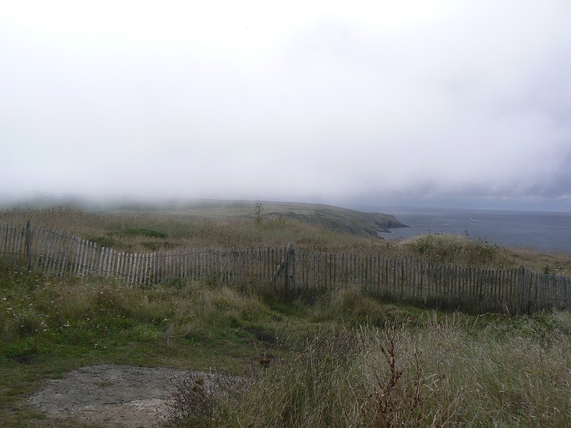 Francie_2009-08-13_06.jpg