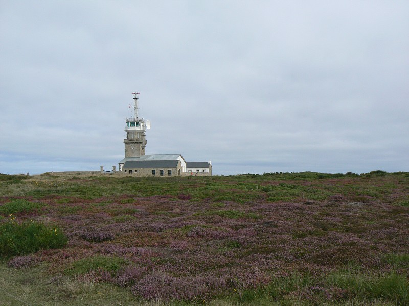 Francie_2009-08-13_19.jpg