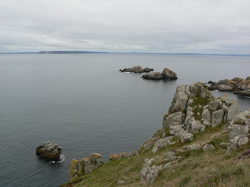 Francie_2009-08-13_48.jpg