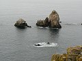 thn_Francie_2009-08-13_46.jpg