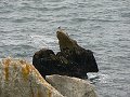 thn_Francie_2009-08-13_55.jpg