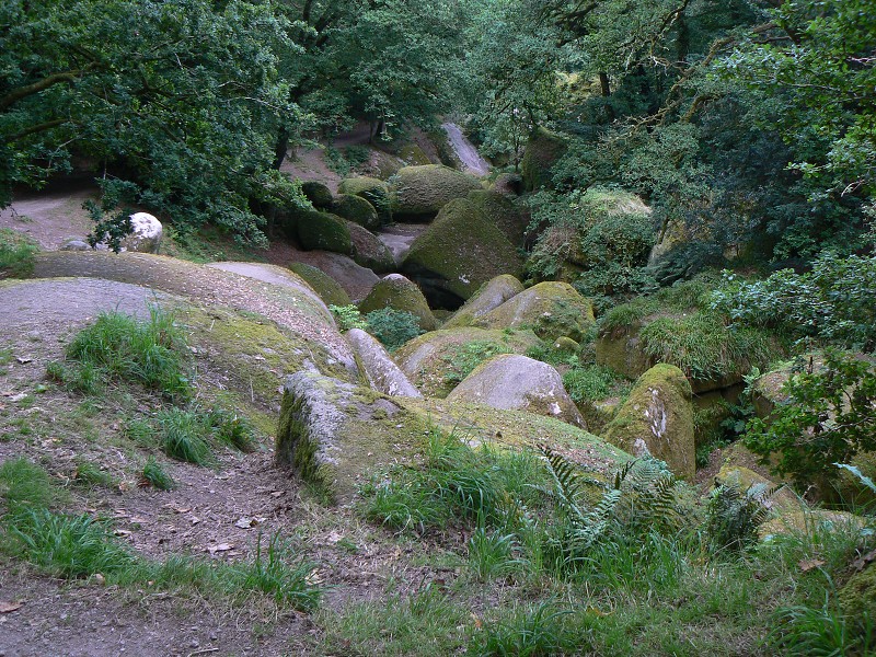 Francie_2009-08-14_43.jpg