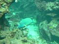 thn_Francie_2009-08-14_17.jpg