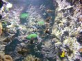thn_Francie_2009-08-14_18.jpg