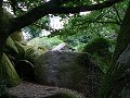 thn_Francie_2009-08-14_38.jpg