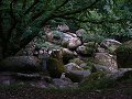 thn_Francie_2009-08-14_45.jpg