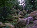thn_Francie_2009-08-14_47.jpg