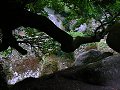 thn_Francie_2009-08-14_48.jpg