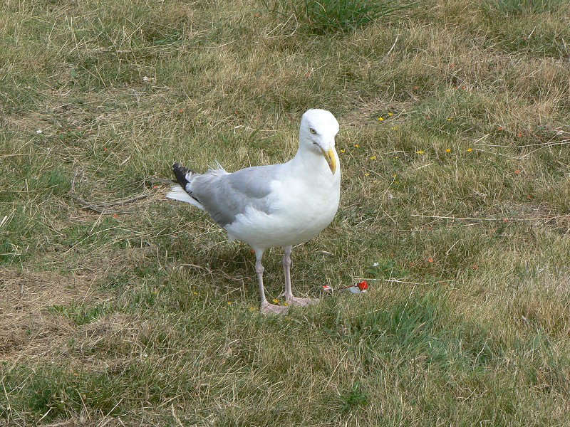 Francie_2009-08-15_24.jpg