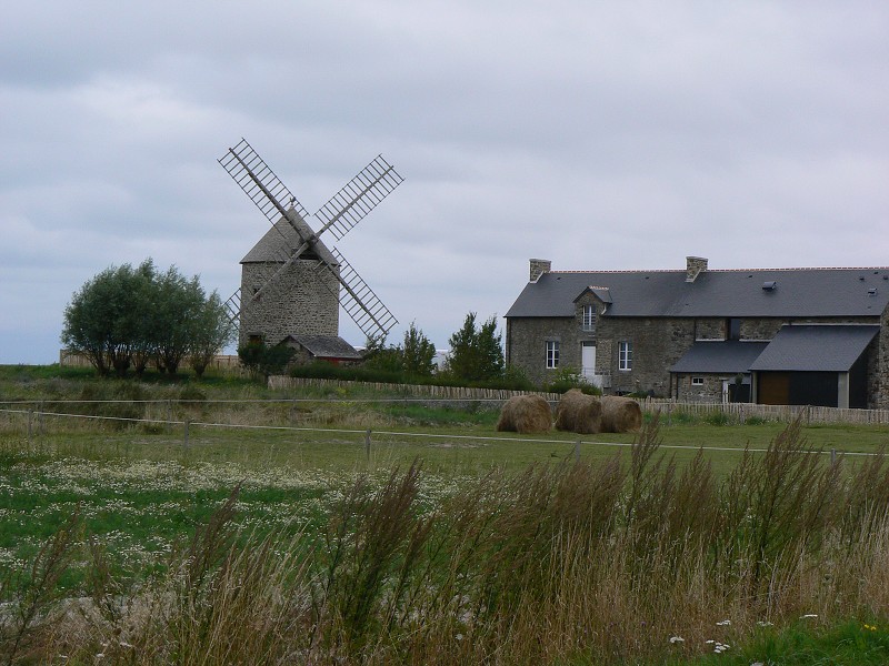 Francie_2009-08-16_24.jpg