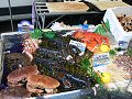 thn_Francie_2009-08-16_18.jpg